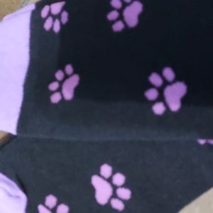 Paw Print Black/Purple Socks